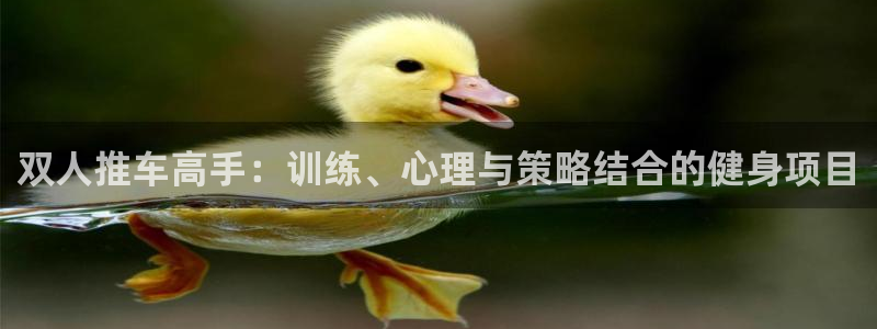 双人推车高手：训练、心理与策略结合的健身项目
