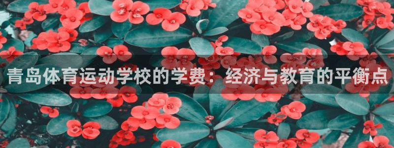 青岛体育运动学校的学费：经济与教育的平衡点