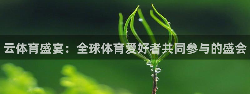 云体育盛宴：全球体育爱好者共同参与的盛会