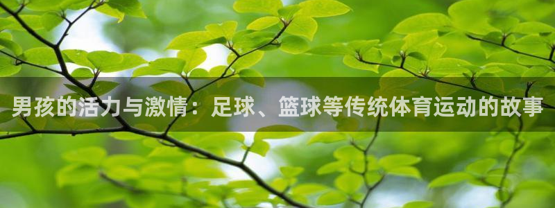 男孩的活力与激情：足球、篮球等传统体育运动的故事