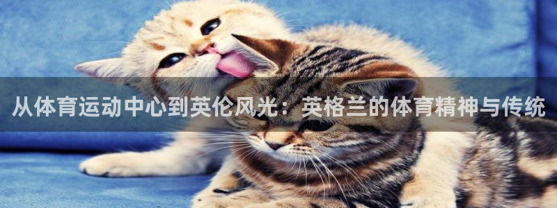 从体育运动中心到英伦风光：英格兰的体育精神与传统