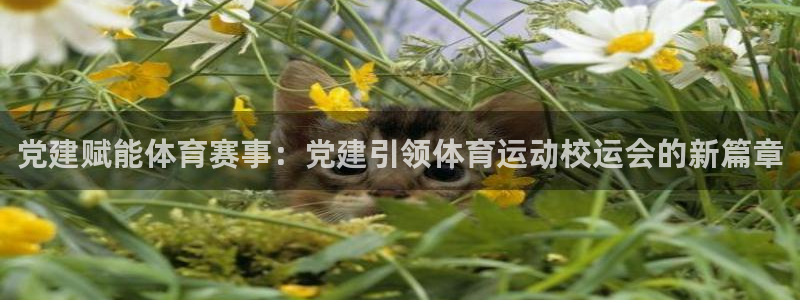 党建赋能体育赛事：党建引领体育运动校运会的新篇章
