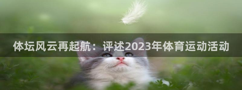 体坛风云再起航：评述2023年体育运动活动